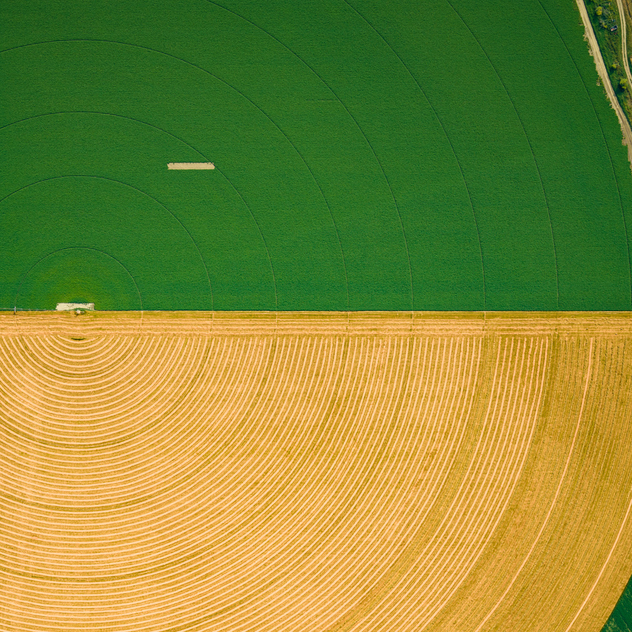 green field