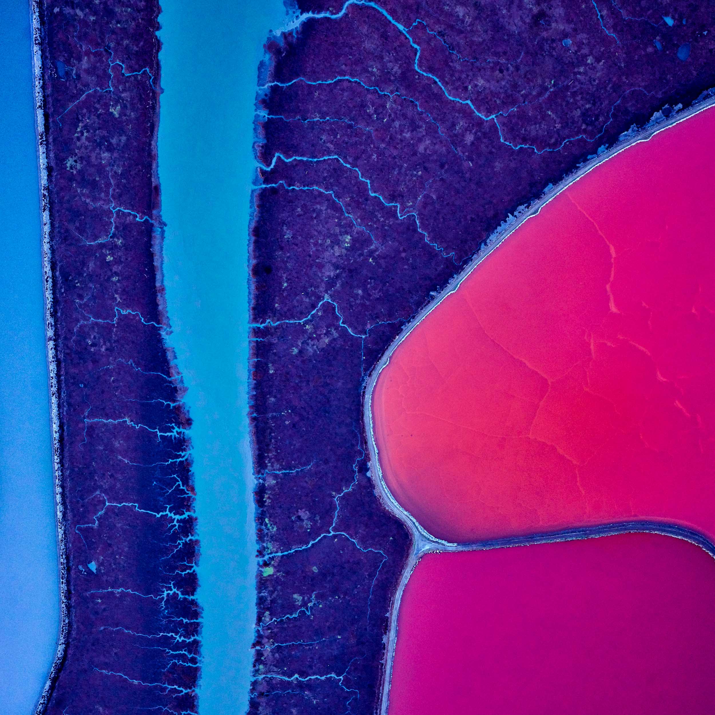 pink abstract