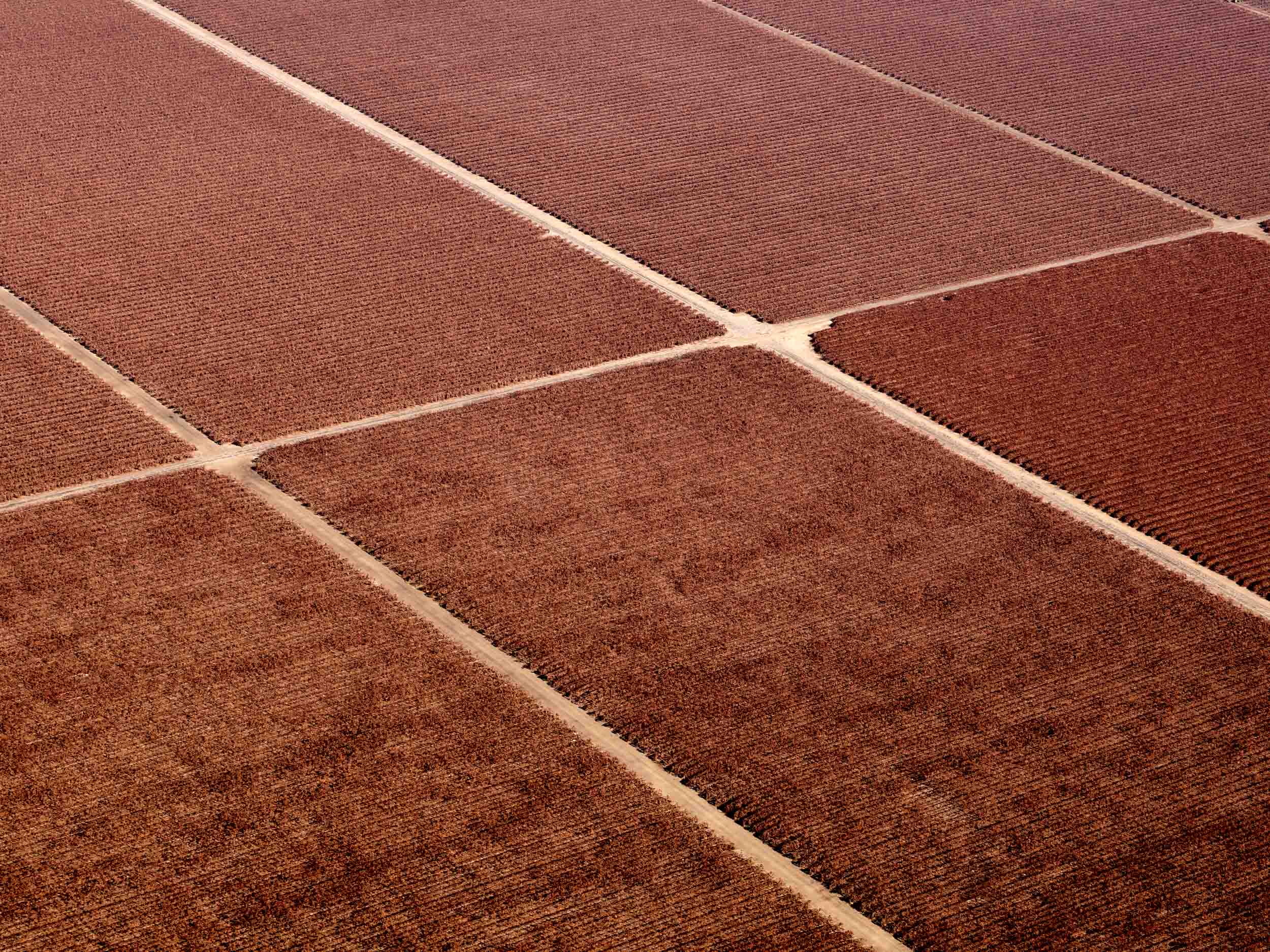 Harvest Farmland