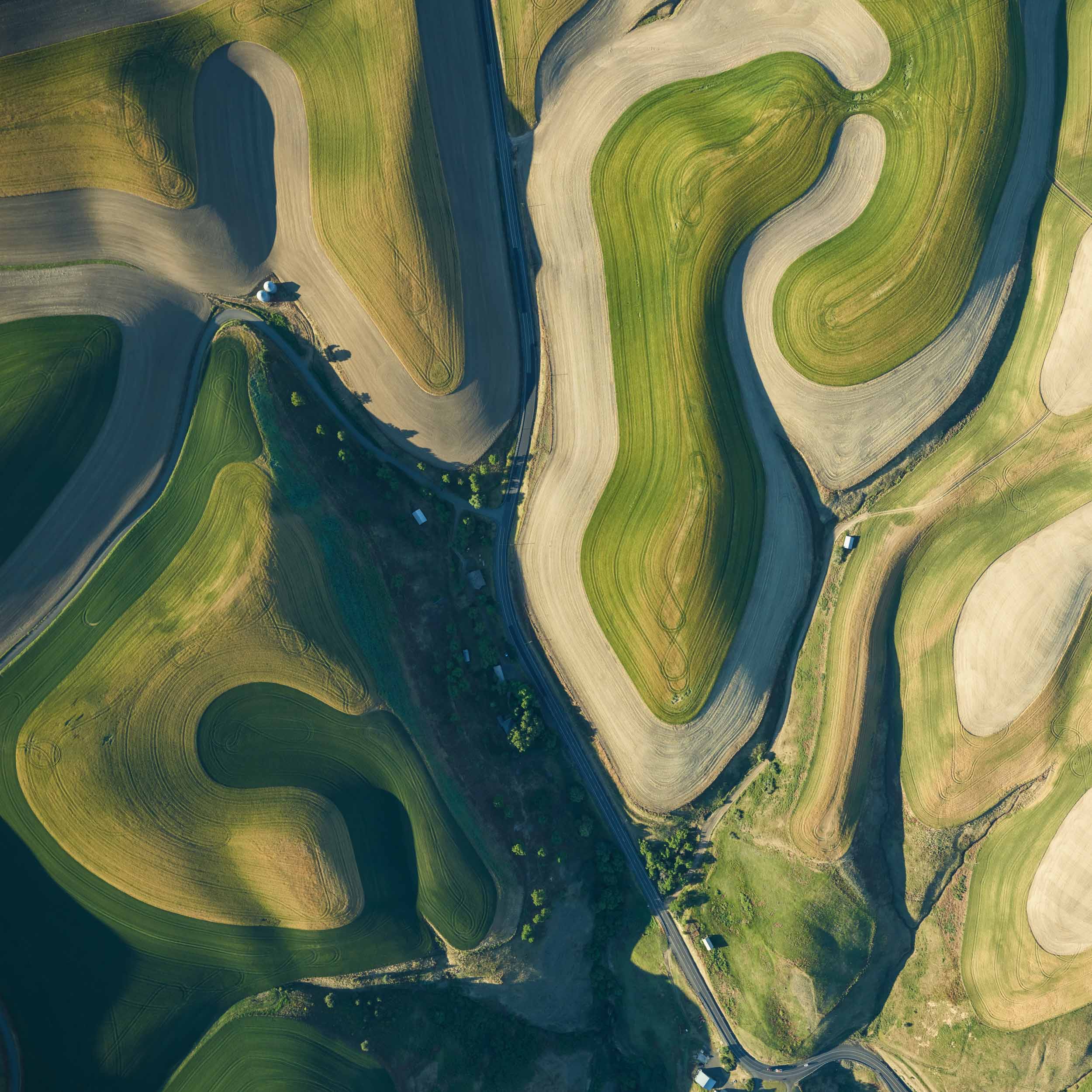 palouse patchwork colors