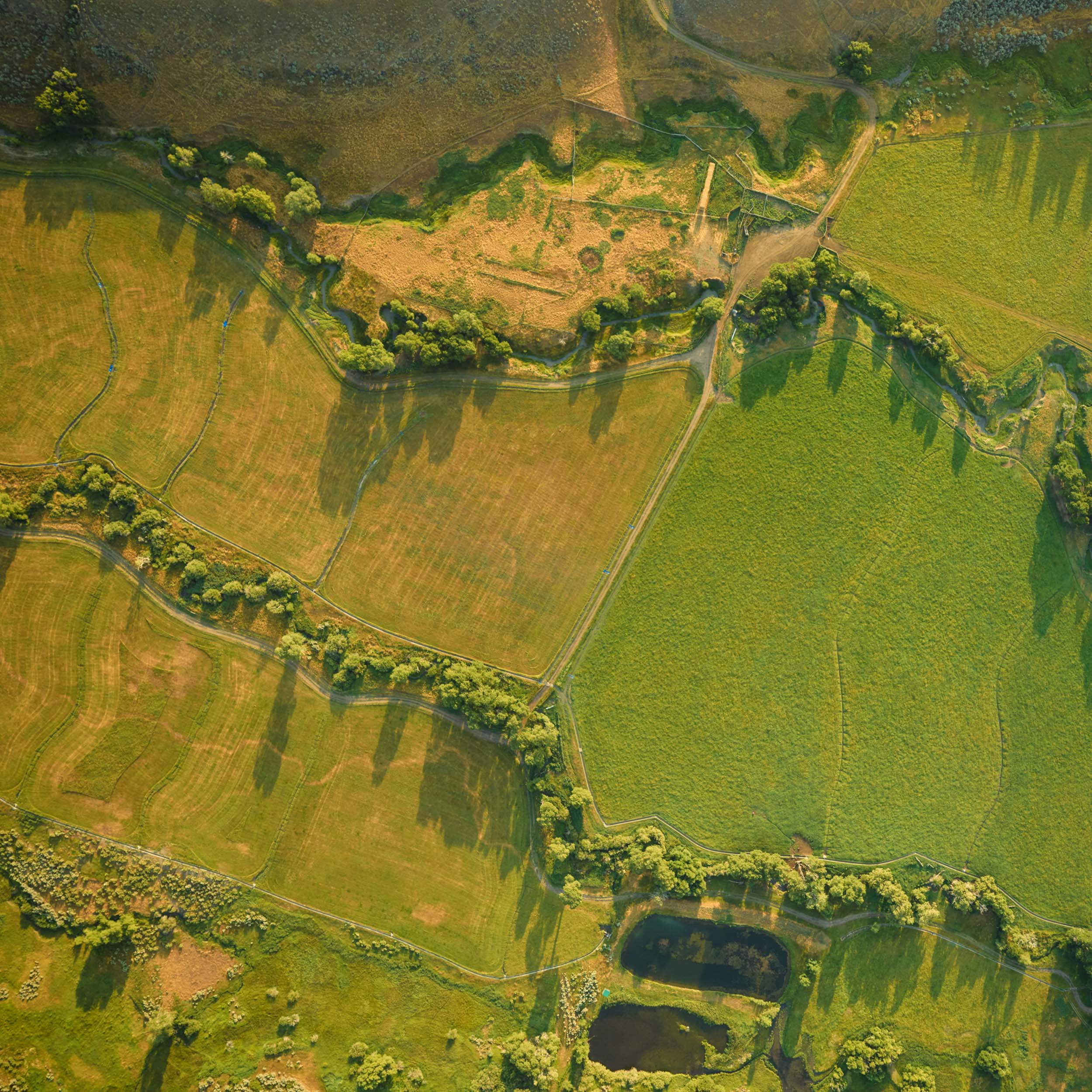 wyoming farmland
