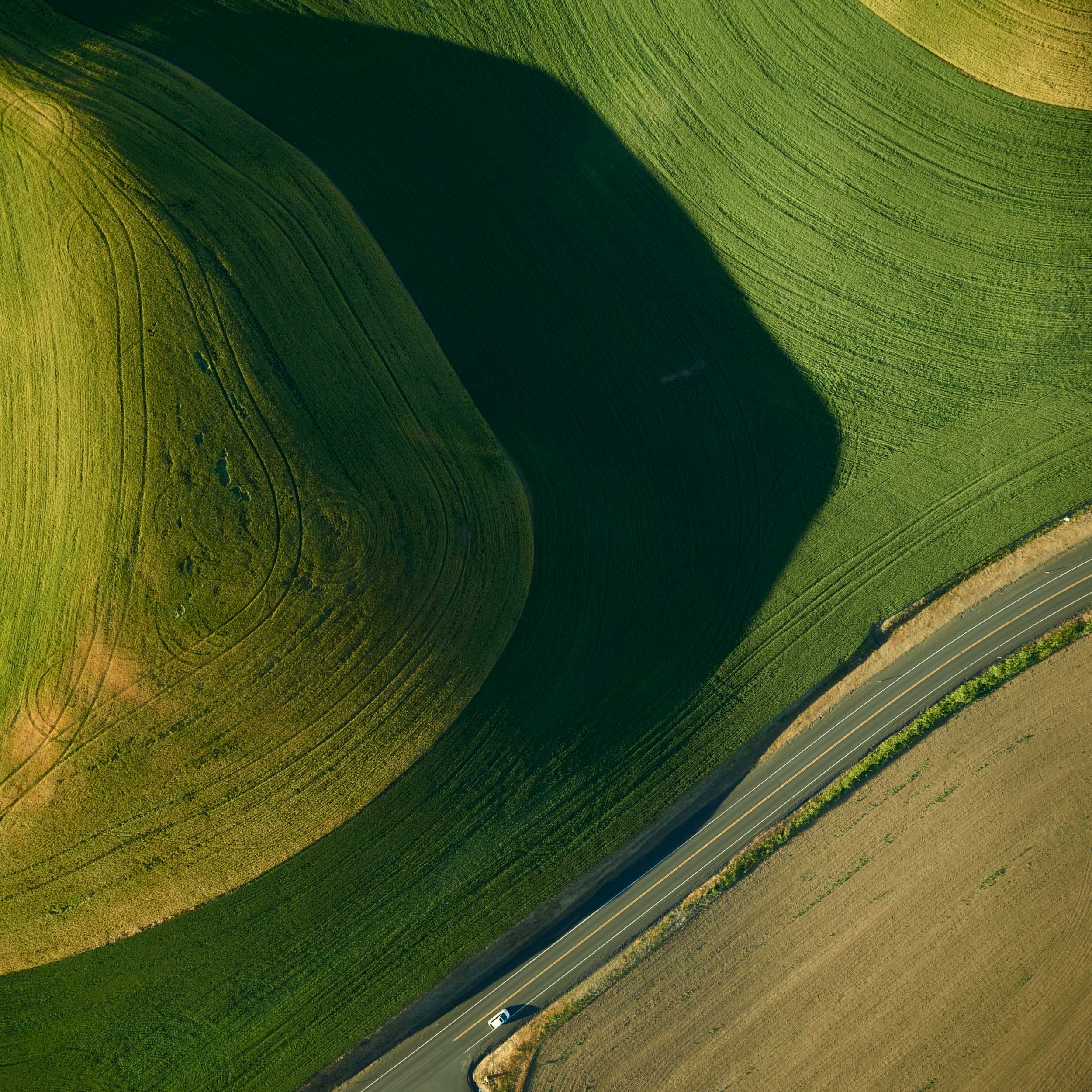 Palouse Hill
